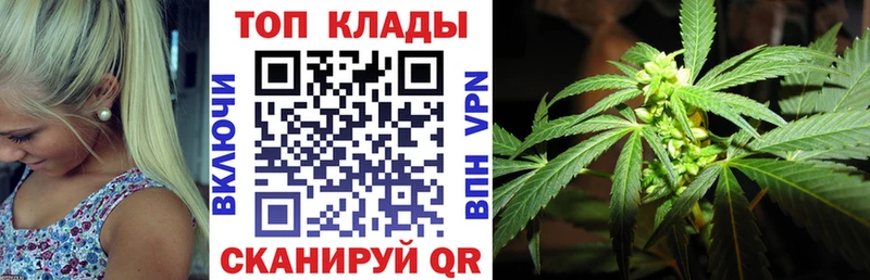 Конопля Балашиха