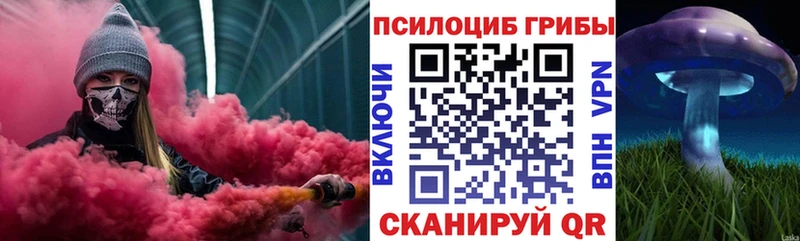 Купить где  Балашиха  Галлюциногенные грибы Cubensis 