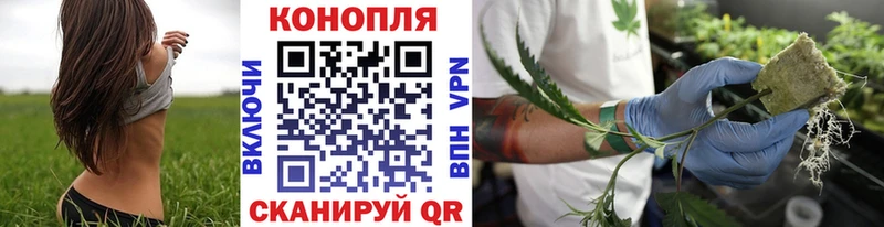 Купить  Балашиха  Каннабис VHQ 